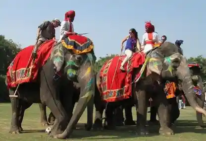 Rajasthan Village Tour